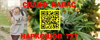 спиды Можга