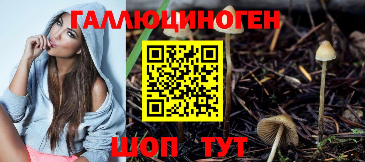 Псилоцибиновые грибы Psilocybine cubensis Салехард