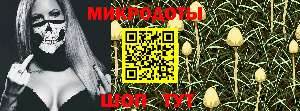Псилоцибиновые грибы MAGIC MUSHROOMS  Псилоцибиновые грибы мицелий  Салехард  Вход с VPN 